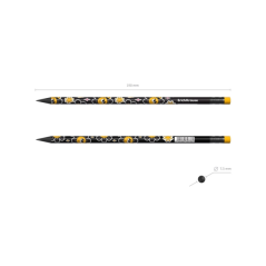 Crayons graphite assortis HB