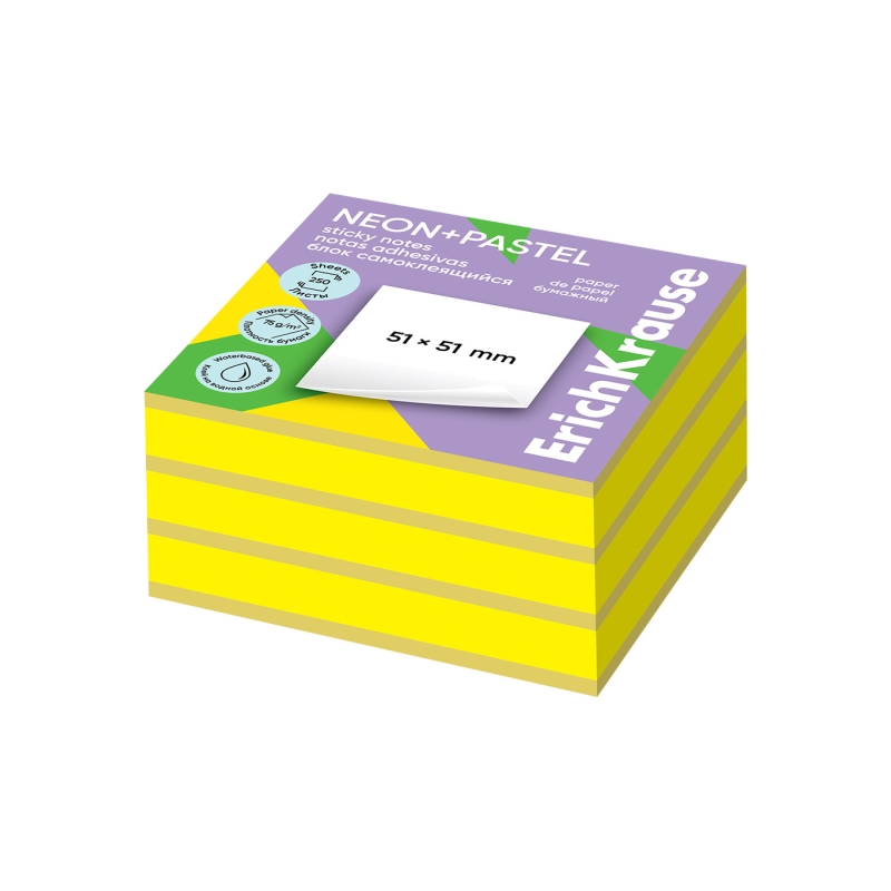 Bloc de 250 notes adhésives ErichKrause 51x51mm assorties