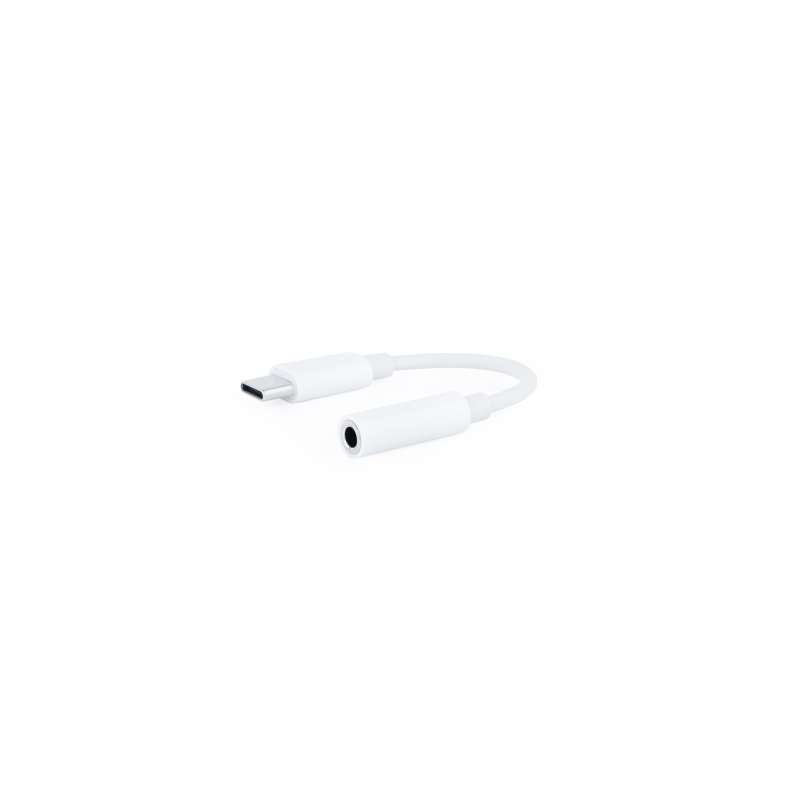 Adaptateur audio USB-C vers Jack 3,5 mm 11 cm blanc Adaptateur audio USB-C vers Jack 3,5 mm 11 cm blanc