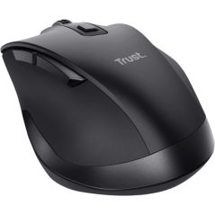 Souris sans fil noire