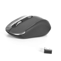 souris sans fil grise NGS
