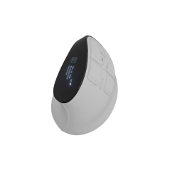 Souris verticale blanche sans fil
