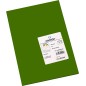 Canson Guarro Pack de 50 Cartes A4 Iris de 185g - 21x29,7cm - Coloris Vert Safari
