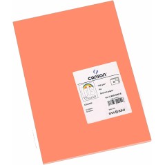 ✅ Canson Guarro Lot de 50 cartes A4 Iris de 185g - 21x29,7cm - Couleur Corail couleur Coral en stock