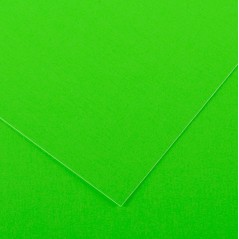 ✅ Canson Guarro Pack de 25 Cartes A4 Iris de 185g - 50x65cm - Couleur Vert Fluo couleur vert en stock