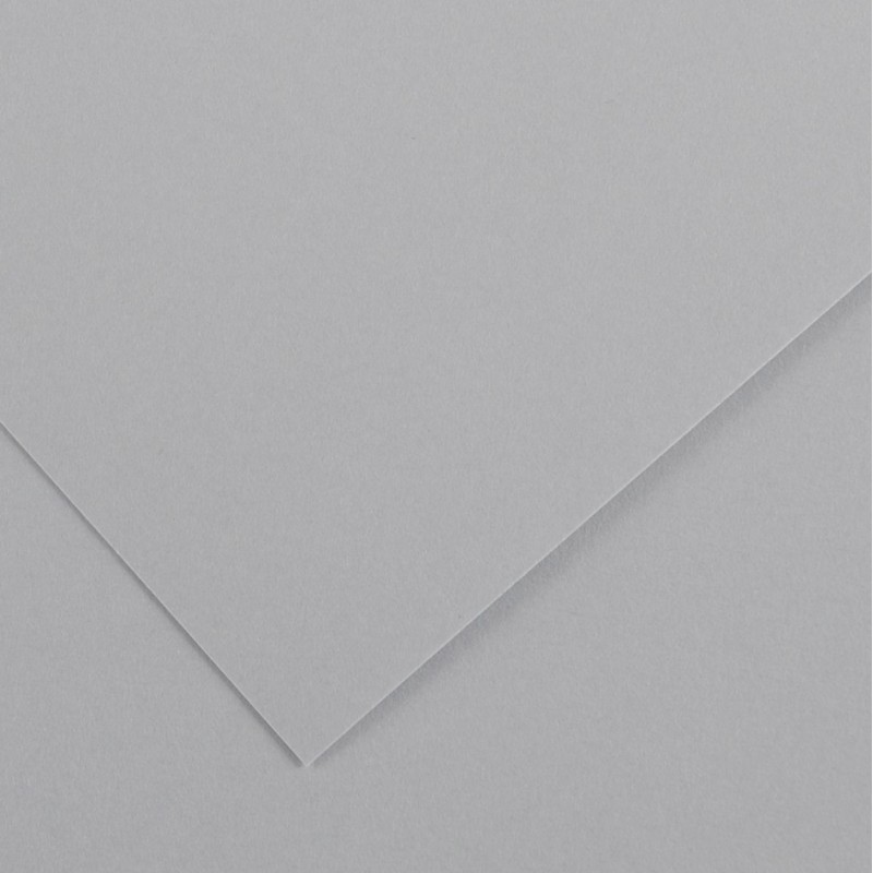 Canson Guarro Pack de 25 Cartes A4 Iris de 185g - 50x65cm - Couleur Gris Perle