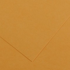 ✅ Canson Guarro Pack de 25 Cartes A4 Iris de 185g - 50x65cm - Couleur Cuir couleur Cuero en stock