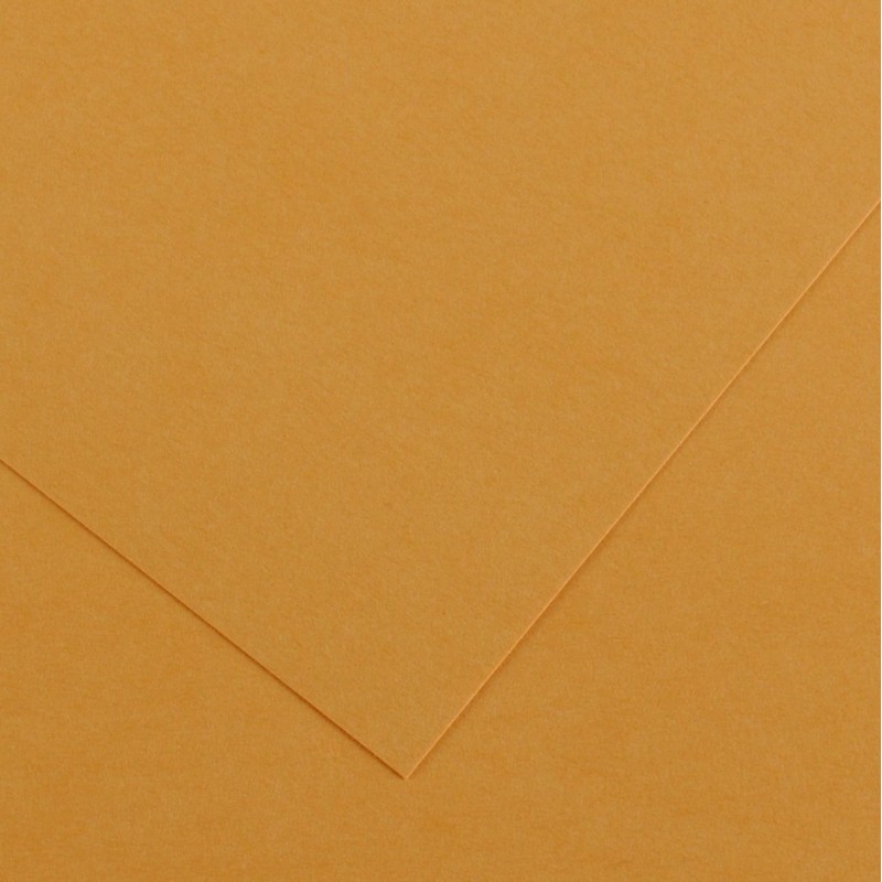 Canson Guarro Pack de 25 Cartes A4 Iris de 185g - 50x65cm - Couleur Cuir