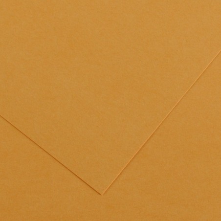 ✅ Canson Guarro Pack de 25 Cartes A4 Iris de 185g - 50x65cm - Couleur Cuir couleur Cuero en stock