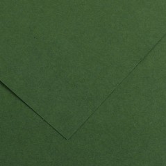 ✅ Canson Guarro Pack de 25 Cartes A4 Iris de 185g - 50x65cm - Couleur Vert Amazone couleur vert en stock