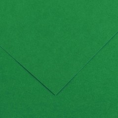 ✅ Canson Guarro Pack de 25 Cartes A4 Iris de 185g - 50x65cm - Couleur Vert Sapin couleur vert en stock
