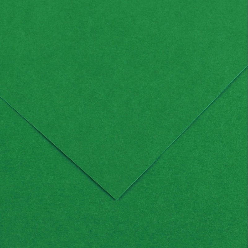 Canson Guarro Pack de 25 Cartes A4 Iris de 185g - 50x65cm - Couleur Vert Sapin