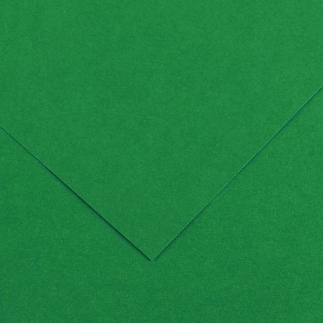 ✅ Canson Guarro Pack de 25 Cartes A4 Iris de 185g - 50x65cm - Couleur Vert Sapin couleur vert en stock
