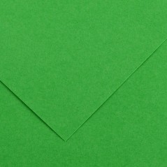 ✅ Canson Guarro Pack de 25 Cartes A4 Iris de 185g - 50x65cm - Couleur Vert Billard couleur vert en stock