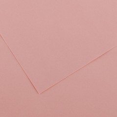 ✅ Canson Guarro Pack de 25 Cartes A4 Iris de 185g - 50x65cm - Couleur Rose couleur Rosa en stock