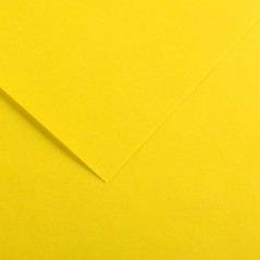 ✅ Canson Guarro Pack de 25 Cartes A4 Iris de 185g - 50x65cm - Couleur Jaune Canari couleur jaune en stock