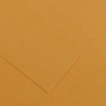 Canson Guarro Pack de 50 Cartes A4 Iris de 185g - 21x29,7cm - Couleur Cuir