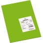 Canson Guarro Pack de 50 Cartes A4 Iris de 185g - 21x29,7cm - Couleur Vert Billard