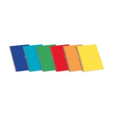 ✅ Enri Plus Pack de 10 Carnets Spirales Format Folio Ligné 3mm - 80 Feuilles 60gr avec Marge - Couverture Soupl en stock