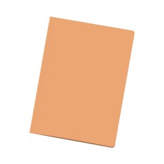 ✅ Lot 50 sous-dossiers Dohe, Carton, Folio, Orange couleur orange en stock