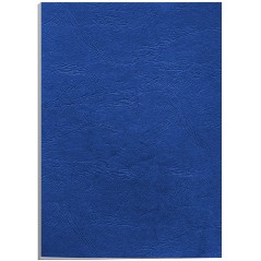 ✅ Fellowes Lot 100 Couvertures Carton Simili Cuir A4 couleur en stock