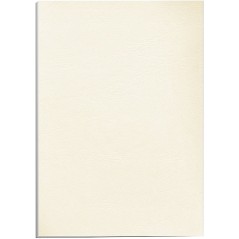 ✅ Fellowes Lot 100 Couvertures Carton Simili Cuir A4 couleur en stock