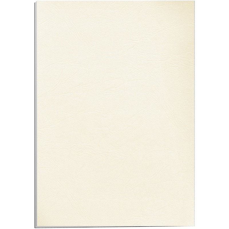 Fellowes Lot 100 Couvertures Carton Simili Cuir A4