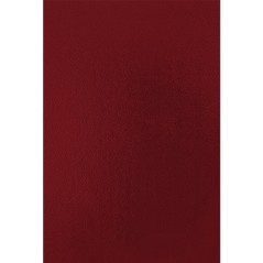 ✅ Fellowes Lot 50 Couvertures Carton Simili Cuir A4 couleur en stock