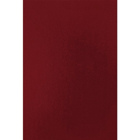 ✅ Fellowes Lot 50 Couvertures Carton Simili Cuir A4 couleur en stock