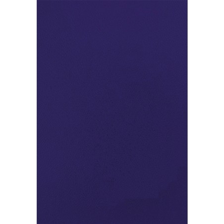 ✅ Fellowes Lot 50 Couvertures Carton Simili Cuir A4 couleur en stock