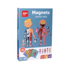 ✅ Apli Jeu Magnétique Corps Humain couleur en stock