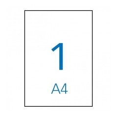 ✅ Etiquettes permanentes Apli White 210 x 297 mm - 500 feuilles couleur en stock