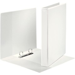 ✅ Lot 10 Classeurs Esselte A4, 2A 25mm, Blanc couleur en stock