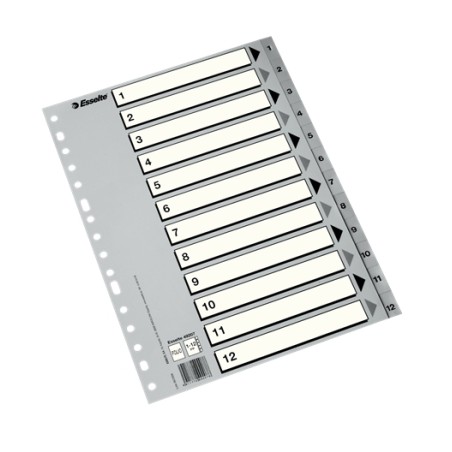 ✅ LOT de 50 Esselte Sachet de 50 Index Numériques Plastique - Onglets 1 à 12 - Multi-trous - Format Folio - Co en stock