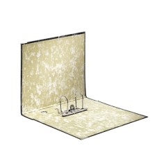 Lot 20 Classeurs Esselte Folio, 75mm, Noir