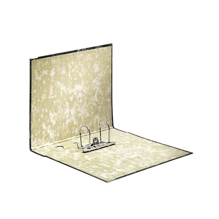 Lot 20 Classeurs Esselte Folio, 75mm, Noir