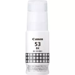 Canon cartouche encreGI-53BK noir(4699C001)