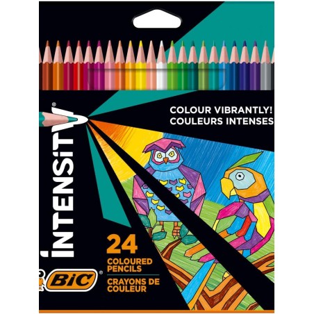 ✅ Bic Intensity Color Up 24 Crayons Triangulaires couleur en stock