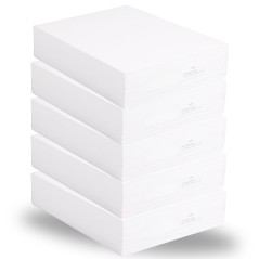 Papier imprimante A4 80g blanc PEFC lot de 5 ramettes 2500 feuilles qualité standard