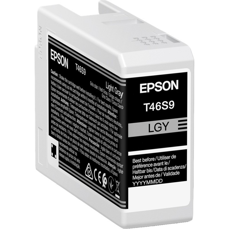 Epson cartouche encre T46S9 (C13T46S900) gris clair