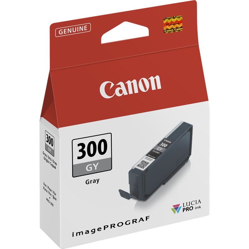 Canon Cartouche encre PFI-300gy (4200C001) gris