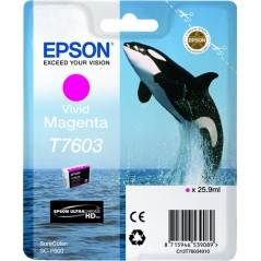 ✅ Epson cartouche encre T7603 Magenta couleur magenta en stock