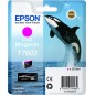 Epson cartouche encre T7603 Magenta Epson cartouche encre T7603 Magenta