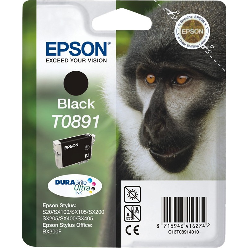 Epson cartouche encre T0891 noir