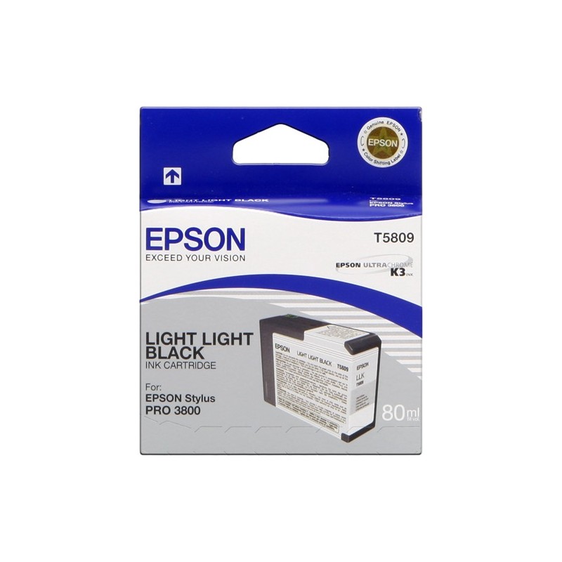 Epson cartouche encre T5809 gris clair