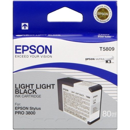 ✅ Epson cartouche encre T5809 gris clair couleur gris en stock
