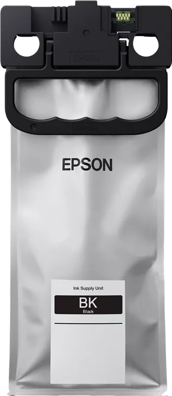 EPSON T01C