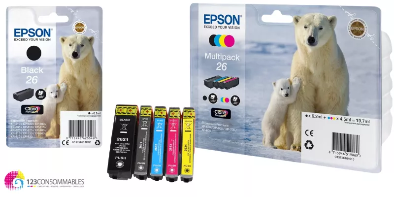 EPSON 26 - Ours Polaire