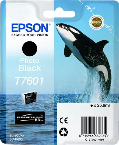 EPSON T760