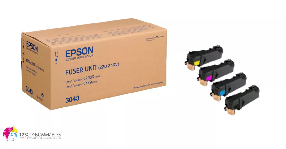 Toner EPSON C2900 / CX29